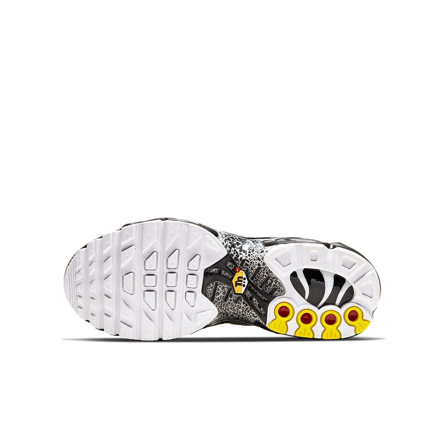 (GS) Nithtke Aithtr Max Plus QS 'Crocodile' CV2392-001