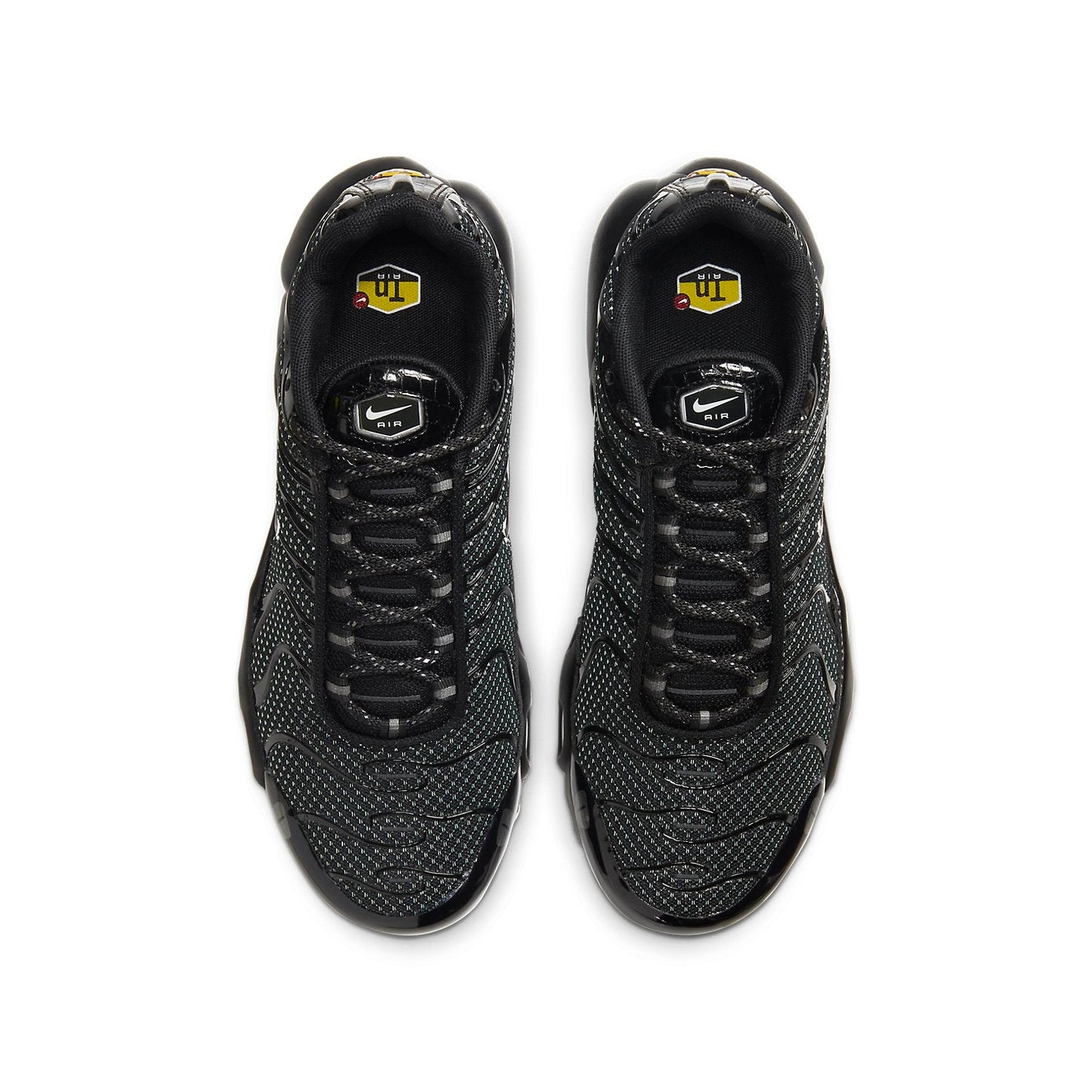 (GS) Nithtke Aithtr Max Plus QS 'Crocodile' CV2392-001