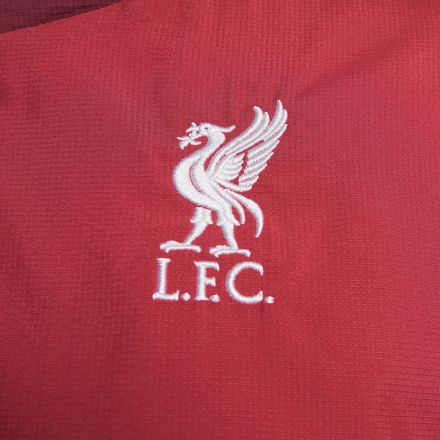 Women's Jacket