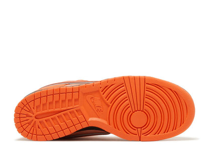 Nithtke Low Top Dunk SB