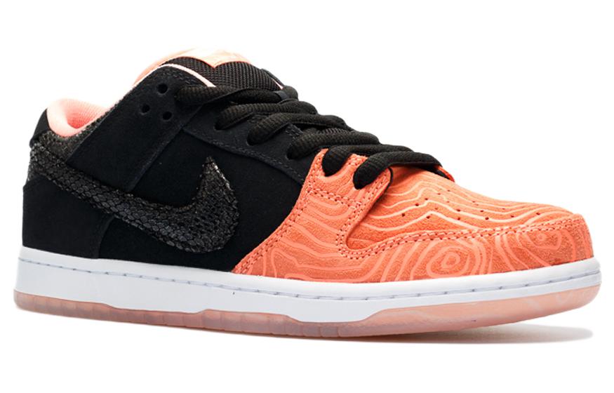 Nithtke Premier x Duthtnk Low Pro SB 'Fish Ladder' 313170-603