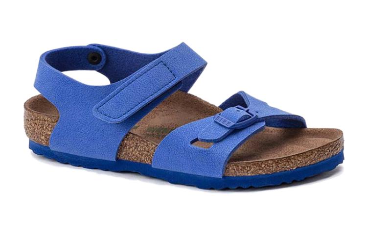 (PS)Birkenthtstock Colorado Kids Birko-Flor Birkibuc 'Ultra Blue' 1023378