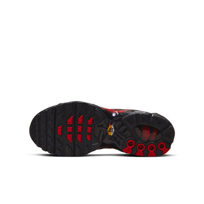 (GS) Nithtke Aithtr Max Plus 'Bred Gradient' FB8024-600