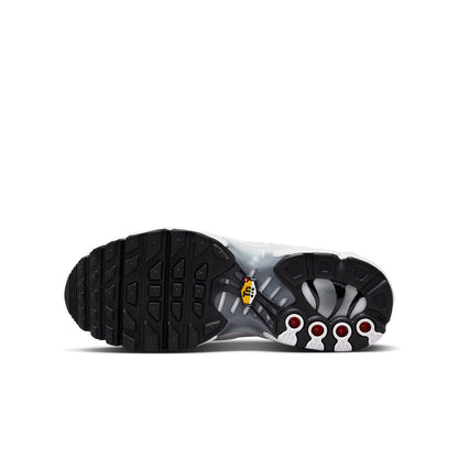 (GS) Nithtke Aithtr Max Plus 'White Cool Grey' FD0692-100