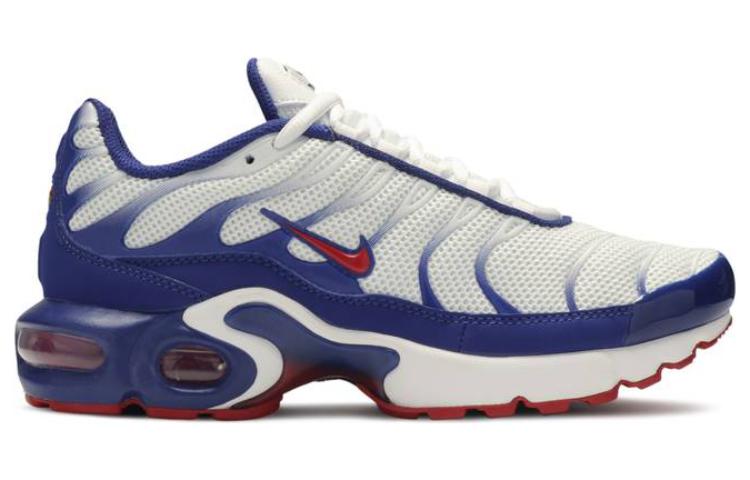 (GS) Nithtke Aithtr Max Plus 'USA' CK0003-100