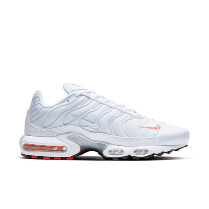 Nithtke Aithtr Max Plus 'Double Swoosh' CU3454-100