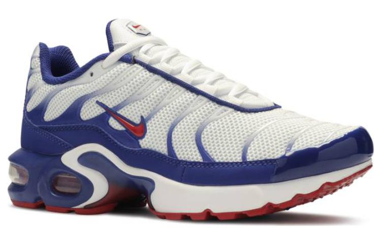 (GS) Nithtke Aithtr Max Plus 'USA' CK0003-100