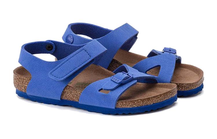 (PS)Birkenthtstock Colorado Kids Birko-Flor Birkibuc 'Ultra Blue' 1023378