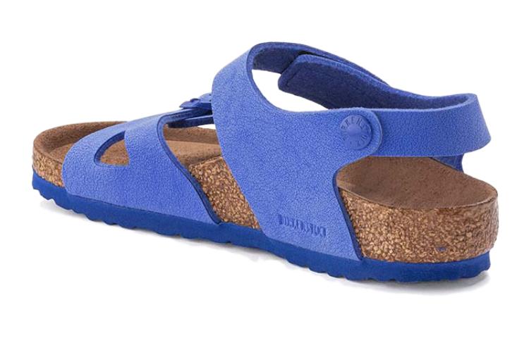 (PS)Birkenthtstock Colorado Kids Birko-Flor Birkibuc 'Ultra Blue' 1023378