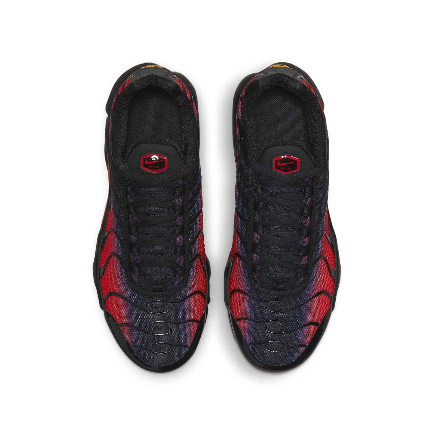 (GS) Nithtke Aithtr Max Plus 'Bred Gradient' FB8024-600