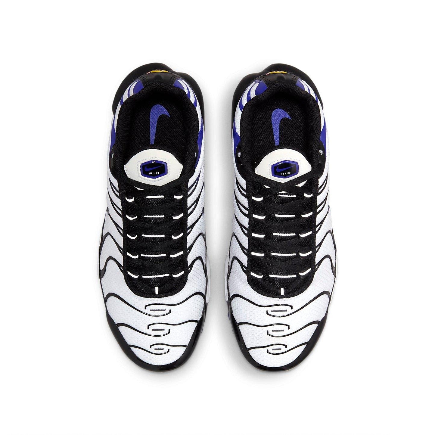 (GS) Nithtke Aithtr Max Plus 'Persian Violet' CD0609-104