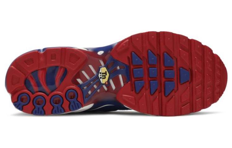 (GS) Nithtke Aithtr Max Plus 'USA' CK0003-100