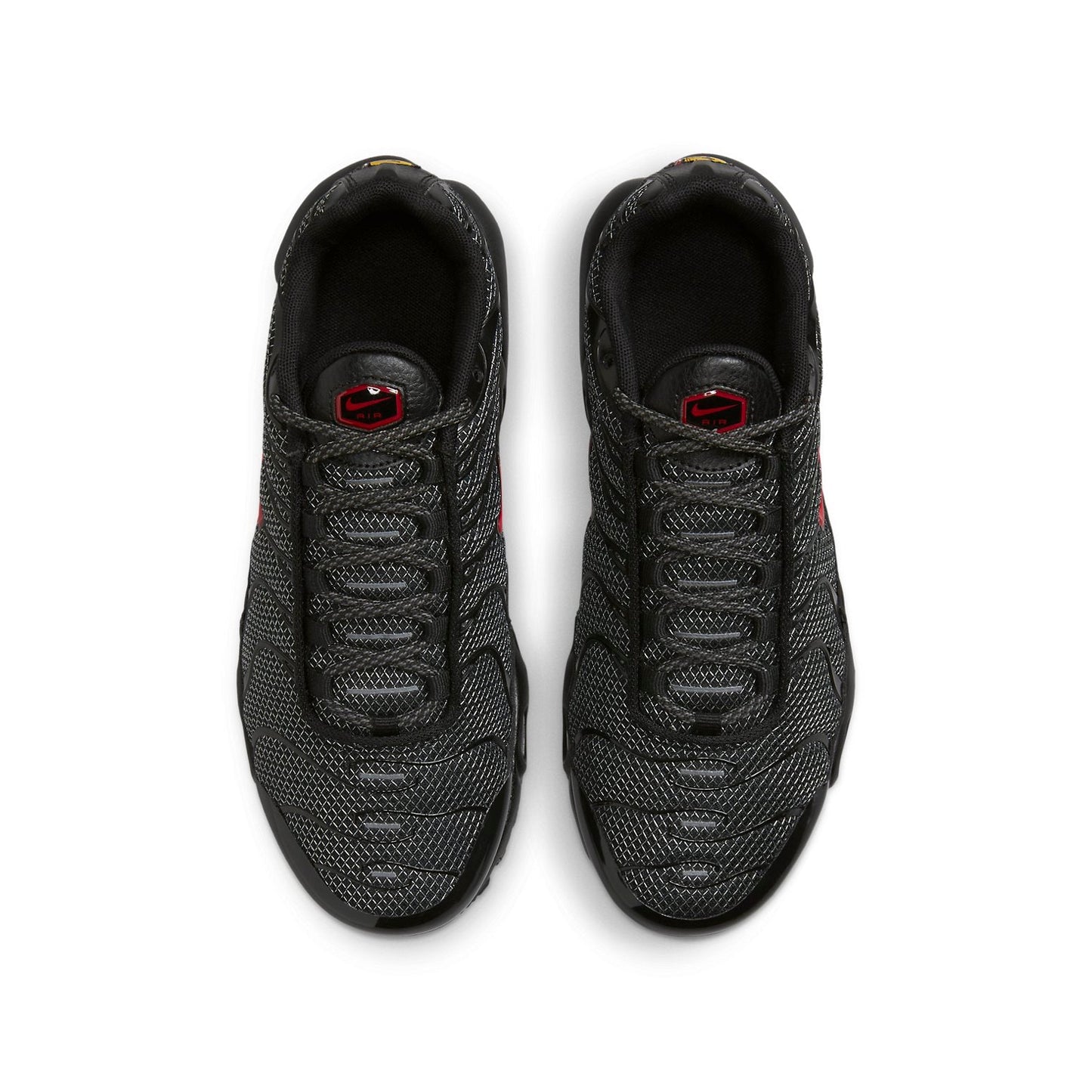 (GS) Nithtke Aithtr Max Plus 'Bred' DQ1104-001