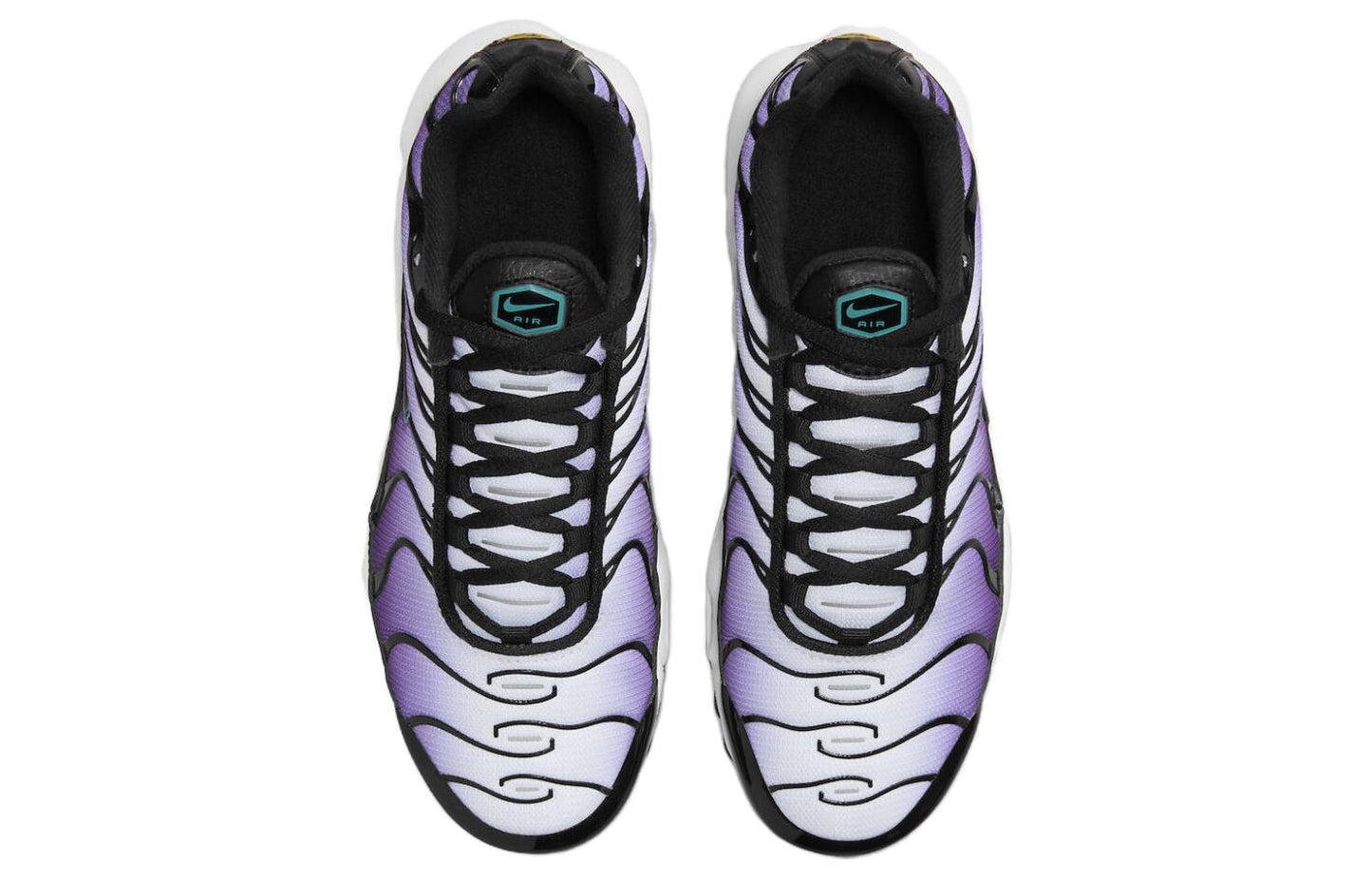 (GS) Nithtke Aithtr Max Plus 'Reverse Grape' FQ2412-500