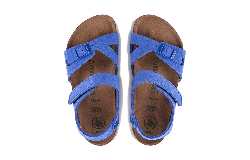 (PS)Birkenthtstock Colorado Kids Birko-Flor Birkibuc 'Ultra Blue' 1023378