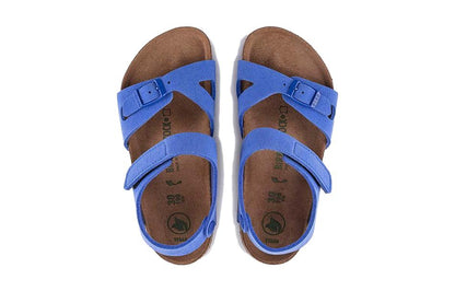 (PS)Birkenthtstock Colorado Kids Birko-Flor Birkibuc 'Ultra Blue' 1023378