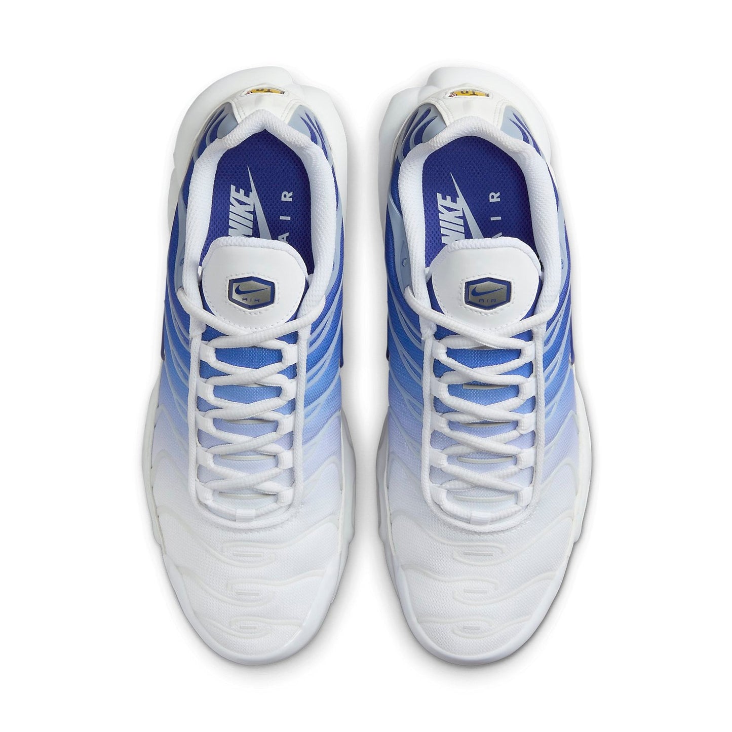 (WMNS) Nithtke Aithtr Max Plus 'Royal Blue Fade' FZ4345-100