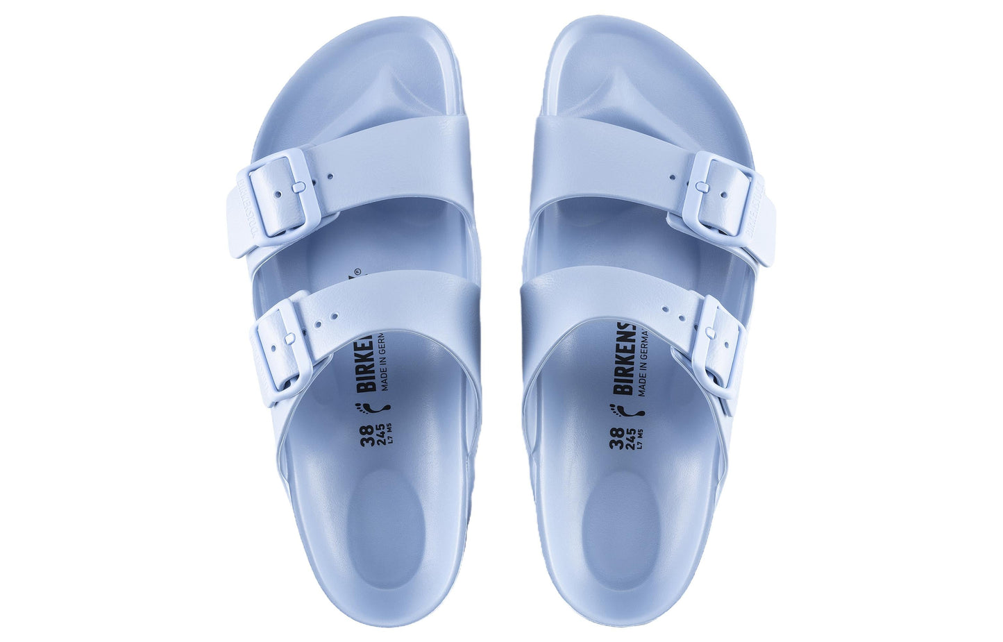 Birkenthtstock Arizona Eva 'Dusty Blue' 1022308