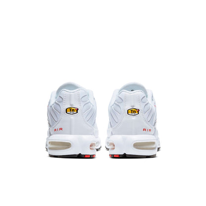 Nithtke Aithtr Max Plus 'Double Swoosh' CU3454-100