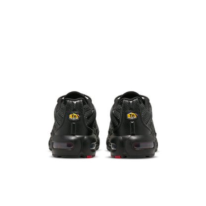 (GS) Nithtke Aithtr Max Plus 'Bred' DQ1104-001