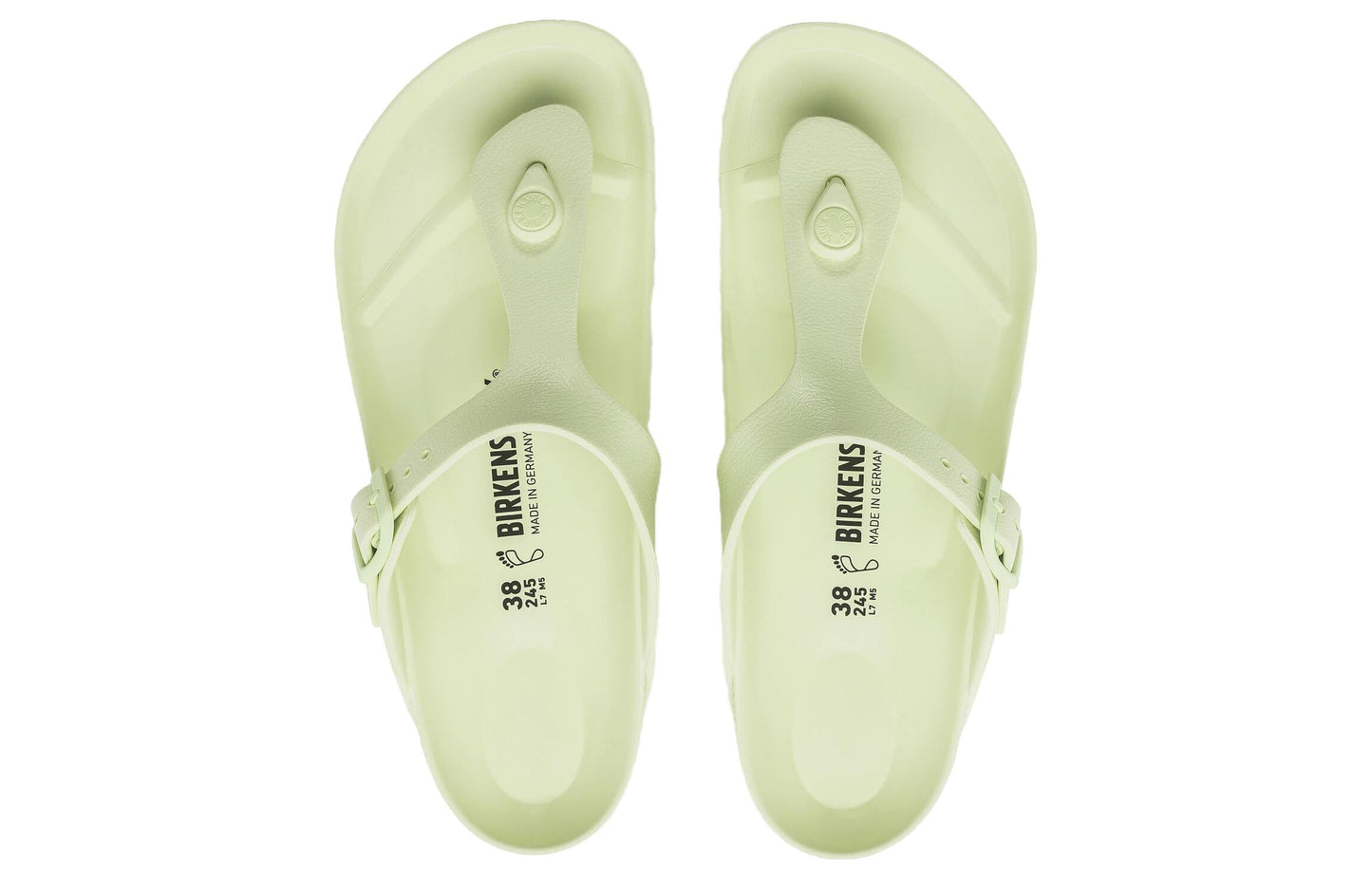 Birkenthtstock Gizeh EVA 'Faded Lime' 1024508
