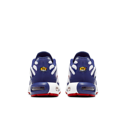 Nithtke Aithtr Max Plus 'Red White Blue' CJ9928-100