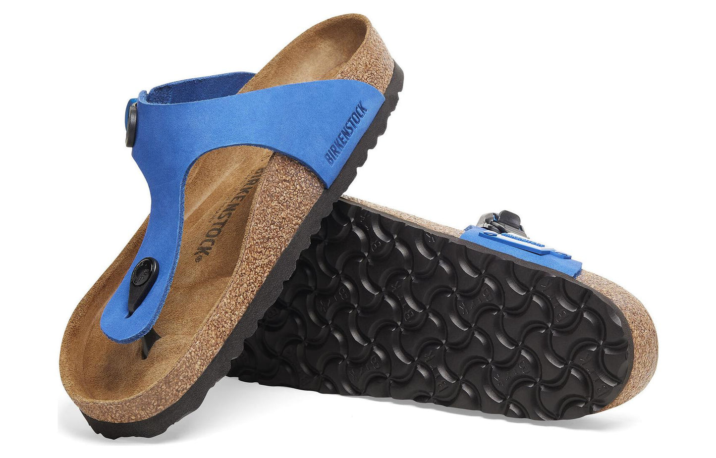 Birkenthtstock 1774 ADERERROR Gizeh Tech 'Ultra Blue' 1018907