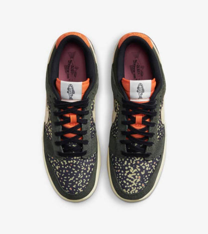 Nithtke Low Top Dunk SB