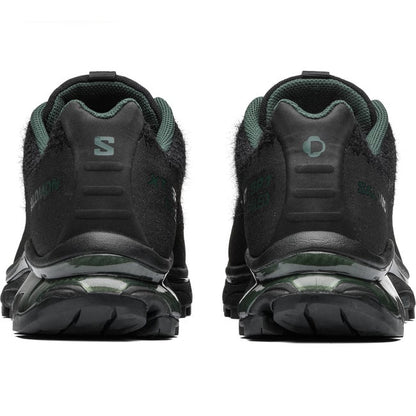 XT-SP1 PHILEO