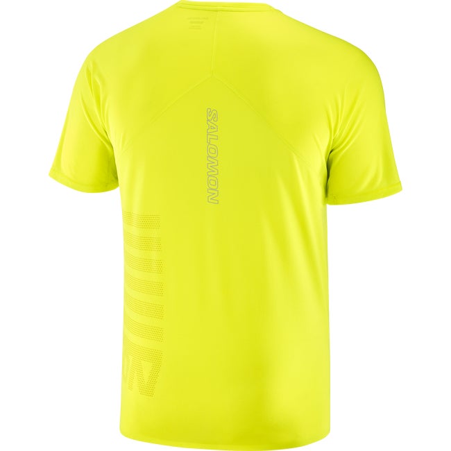 SENSE AERO GRAPHIC