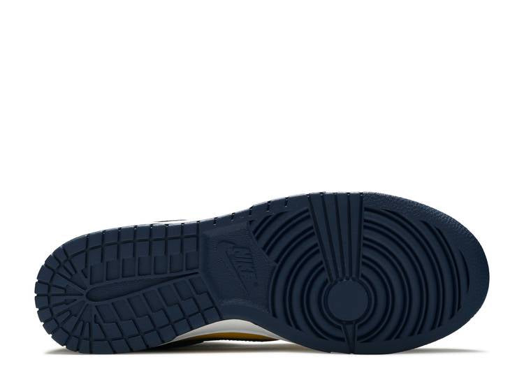Nithtke Low Top Dunk SB