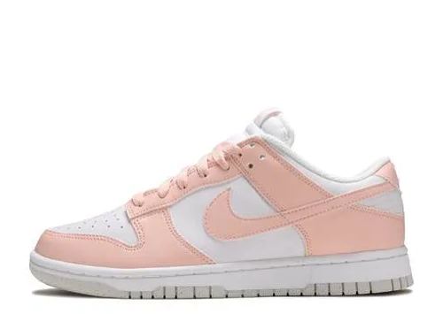 Nithtke Low Top Dunk SB