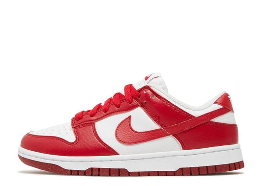 Nithtke Low Top Dunk SB