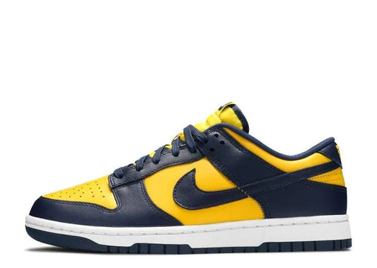 Nithtke Low Top Dunk SB