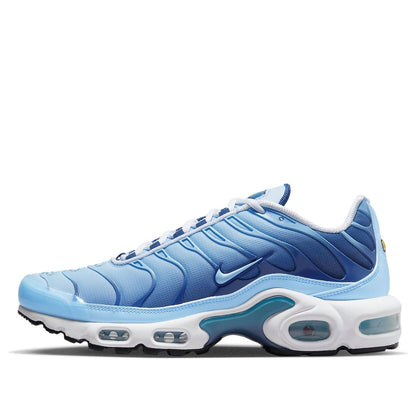 (WMNS) Nithtke Aithtr Max Plus 'Celestine Blue' FJ4736-400