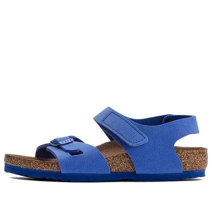 (PS)Birkenthtstock Colorado Kids Birko-Flor Birkibuc 'Ultra Blue' 1023378