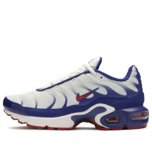 (GS) Nithtke Aithtr Max Plus 'USA' CK0003-100